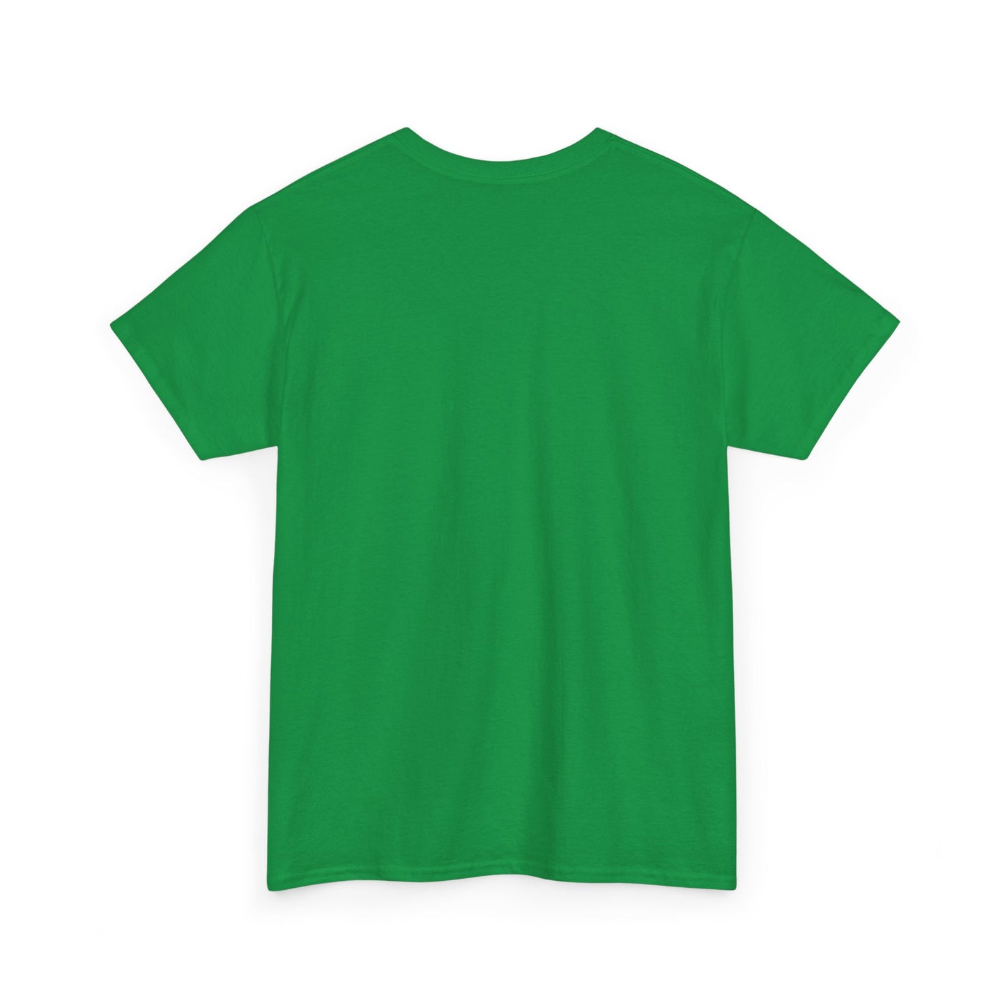 Childless Cat Lady Shirt - "Every Day is Caturday" - , Say NO to Ignorance -Unisex Heavy Cotton Tee