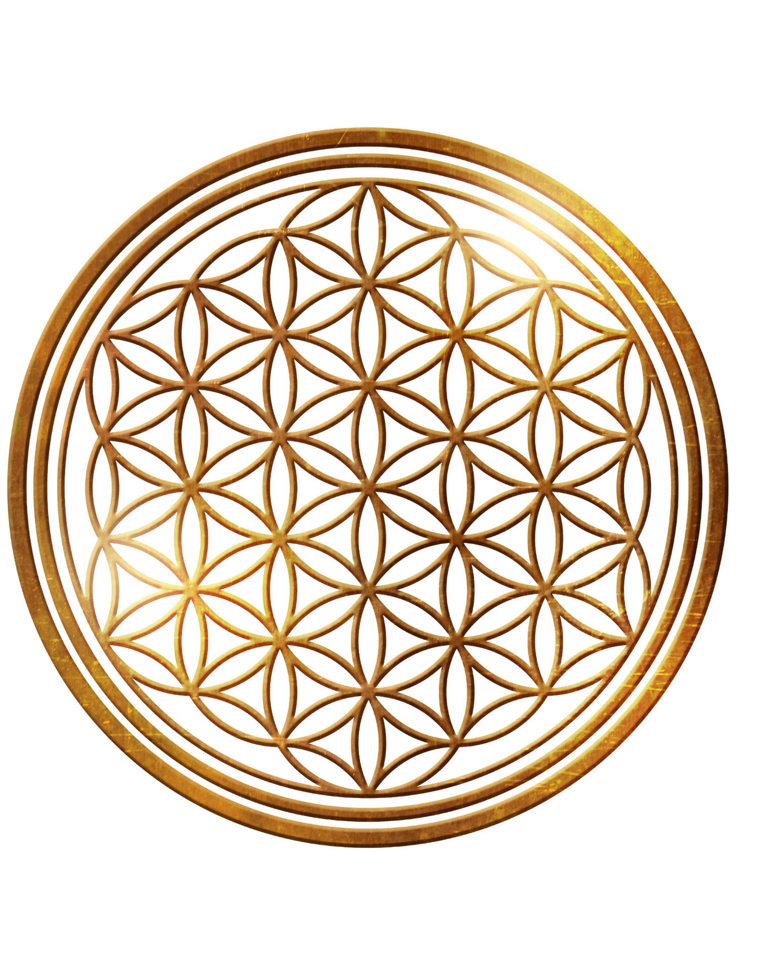 Flower of Life Sacred Geometry T-shirt